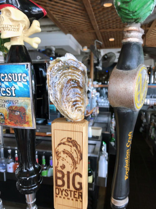 Big Oyster Brewery on tap! Photo credit: Bill Dennison.