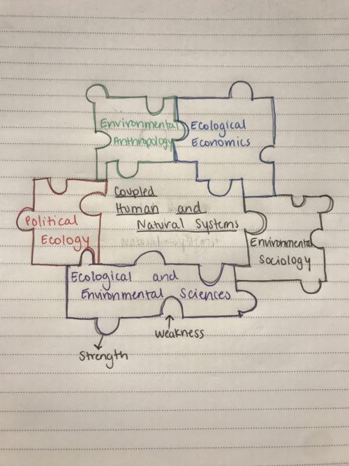 This puzzle diagram, drawn by student Morgan Ross, shows the five disciplines of environment and society coming together to fit into coupled human and natural systems.