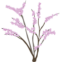 An illustration of an Eastern redbud tree in flower.