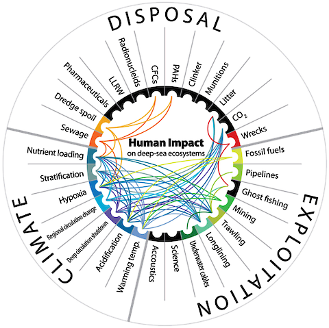 This wheel depicts examples of human impacts and environmental problems, and the synergies among anthropogenic impacts on deep-sea habitats. The lines link impacts that, when found together, have a synergistic effect on habitats or faunal communities. The lines are color-coded, indicating the direction of the synergy. (âHuman impact on deep-sea ecosystemsâ by E. Ramirez-Llodra et al. fromÂ Wikimedia CommonsÂ is licensed underÂ CC BY-SA 4.0.)