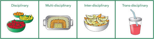 Disciplinary vs. multidisciplinary vs. interdisciplinary vs. transdisciplinary, represented by fruit. (Diagram credit: Emily Nastase)