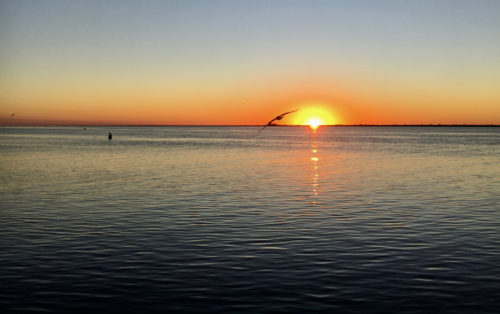 Sunset over the Laguna Madre. Photo credit: Heath Kelsey.