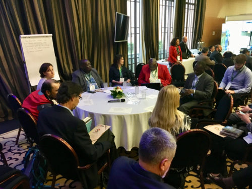 Participants discussing the TDA process at an interactive session on Day 1 of the IWC9 meeting. Photo credit: Heath Kelsey.