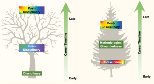 A disciplinary foundation (left) begins in a specific area and branches out over time. In contrast,an undisciplinary journey (right) begins broad, then focuses over time, while still maintaining strong interconnectivity. (Image by author)