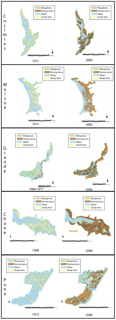 Images depict changes in land cover between the late 1960s and mid 2000s in five Ecuadorian estuaries. Figure provided by Dr. Stuart Hamilton and edited by Kate Petersen.