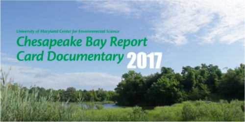 Chesapeake Bay report card documentary.