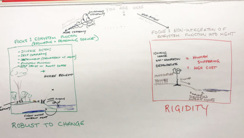 One of the conceptual diagrams drafted during a breakout session that will ultimately be included in the newsletter. Photo credit: Yesenia Valverde.