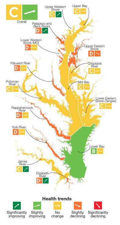 A color-coded map of the Chesapeake Bay with regional aggregated environmental quality grading and health trends. The map grades overall Bay Health a “C” grade associated with a rising arrow, indicating an improving trend. Image created by UMCES IAN staff.