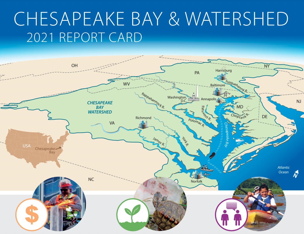 Your Not-So-Average C+ 2021 Chesapeake & Watershed Report Card, Blog