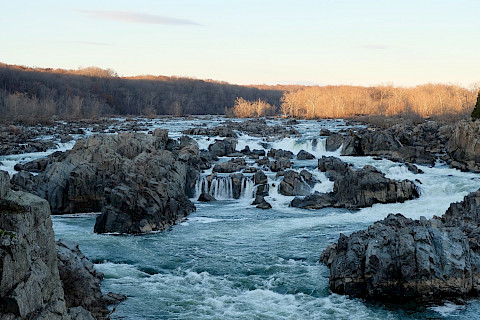 An image of a wide and rocky white-water section of the Potomac, with the water rushing over and between jagged boulders.
