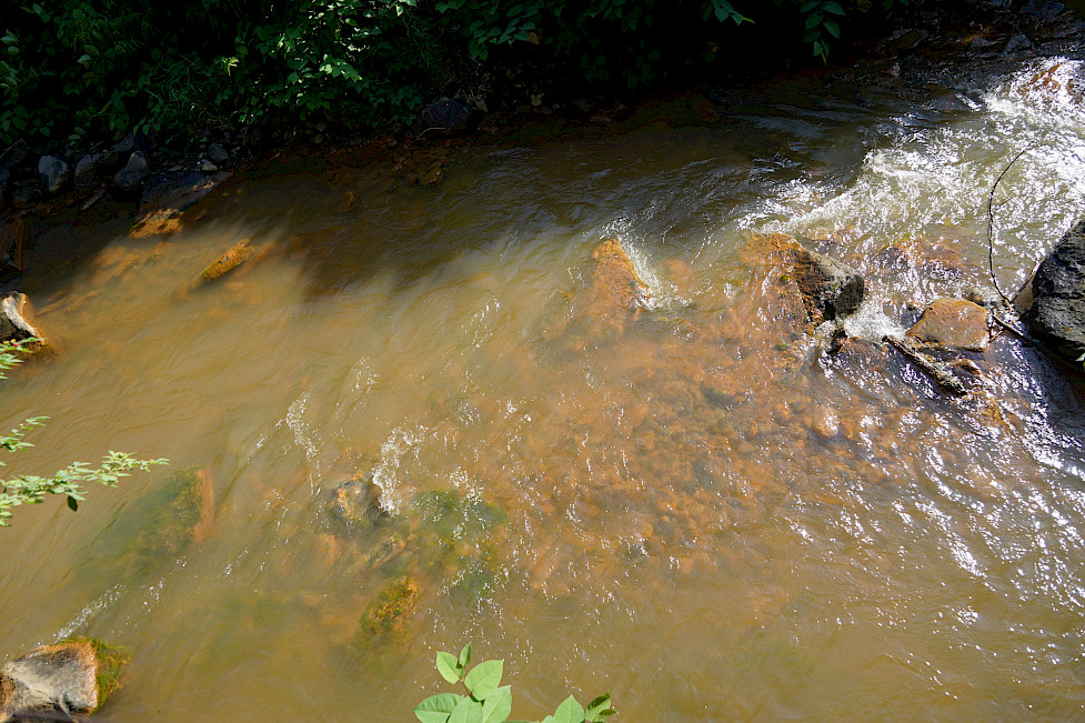 Image of a section of the Braddock Run stream. The water and the rocks are an orange-red color.