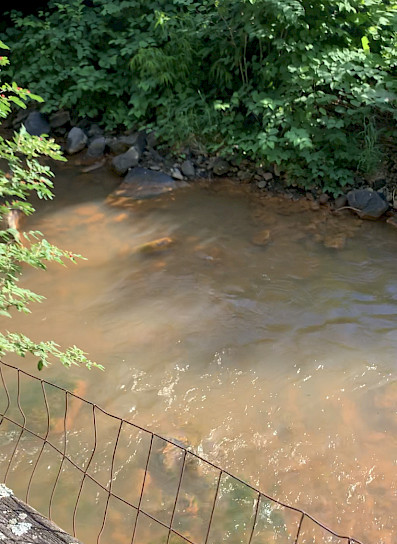 Right next to the hotel we had stayed in, Braddock Run’s water appeared a bright orange color, tinting the rocks in the streambed the same color as a result of acid mine drainage in the region.