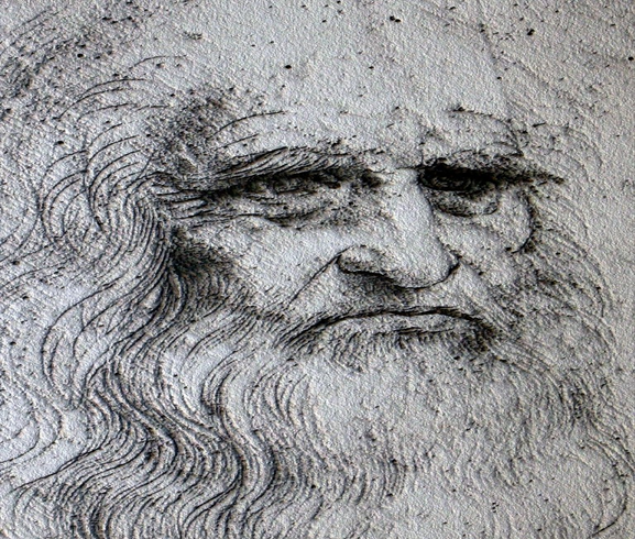 A self-portrait of Leonardo da Vinci – a transdisciplinarian by any definition.   "Leonardo da Vinci self portrait, Chambord Castle, Loire Valley, France - The metallic stone effect is generated by computer" by MAMJODH is licensed under CC BY 2.0.