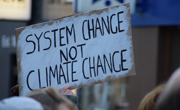 A demonstration placard making the case for changing the “system” to keep the environment safe.  Photo by Ma Ti on Unsplash.