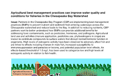 Agricultural best management practices can improve water quality and conditions for fisheries in the Chesapeake Bay Watershed (Page 1)