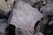 Array of petroglyphs at Petroglyph National Monument in Albuquerque, NM 