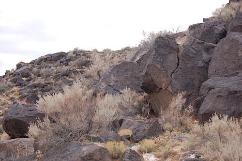 Petroglyphs on volcanic rock at Petroglyph National Monument in Albuquerque, NM