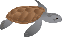 Illustration of a generic sea turtle