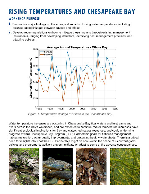 STAC Rising Water Temperatures Workshop Newsletter (Page 1)