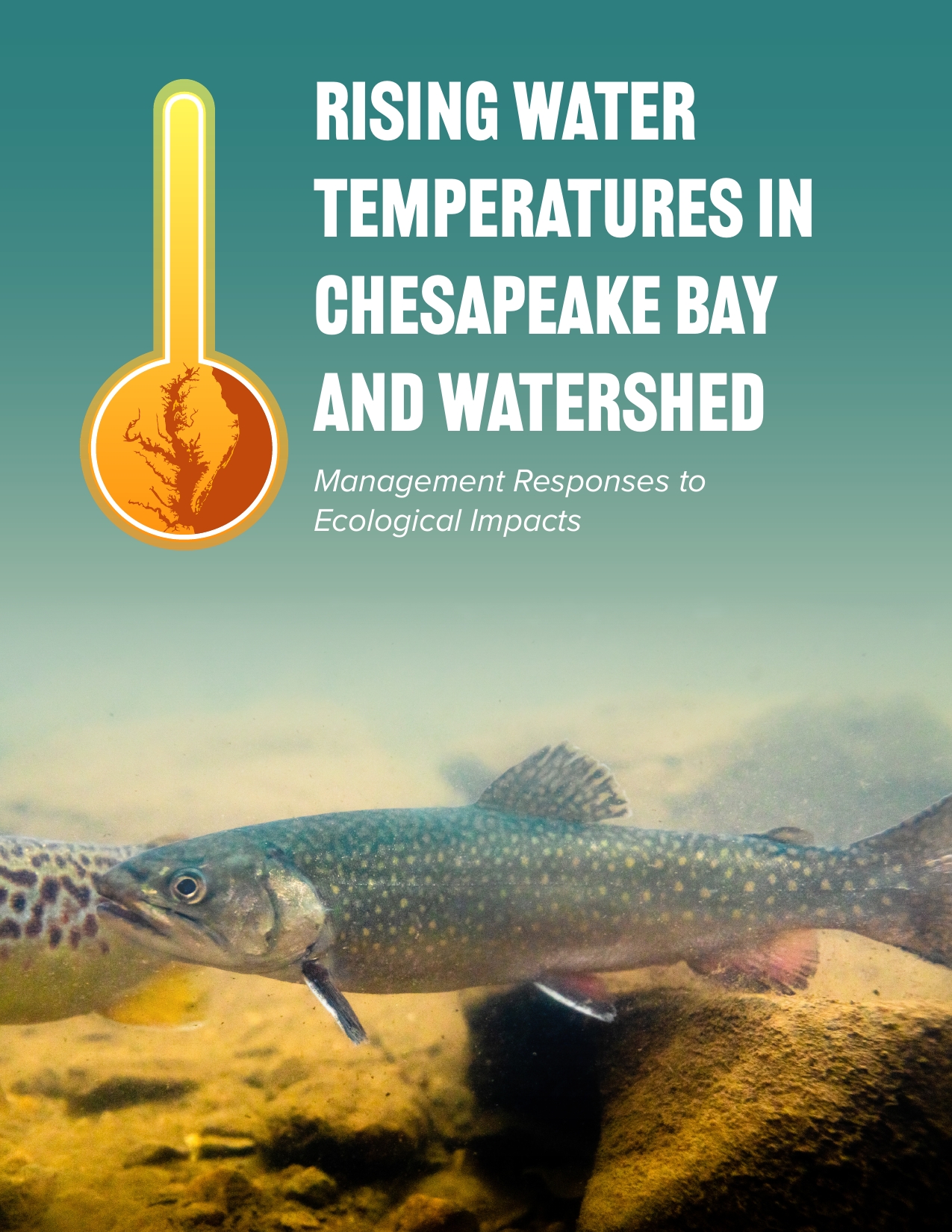 STAC Rising Water Temperatures Report Summary | Publications ...