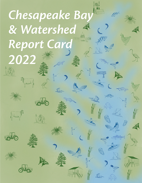This cover art featuring drawings of important aspects of the Chesapeake watershed, like representations of agriculture, recreation, keystone species, and the fishing industry, was created by Sidney Anderson at UMCES IAN for the 2022 report card.