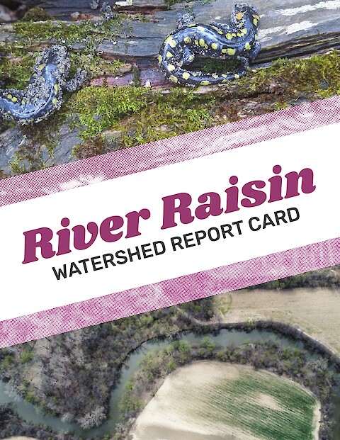 River Raisin Watershed Report Card (Page 1)