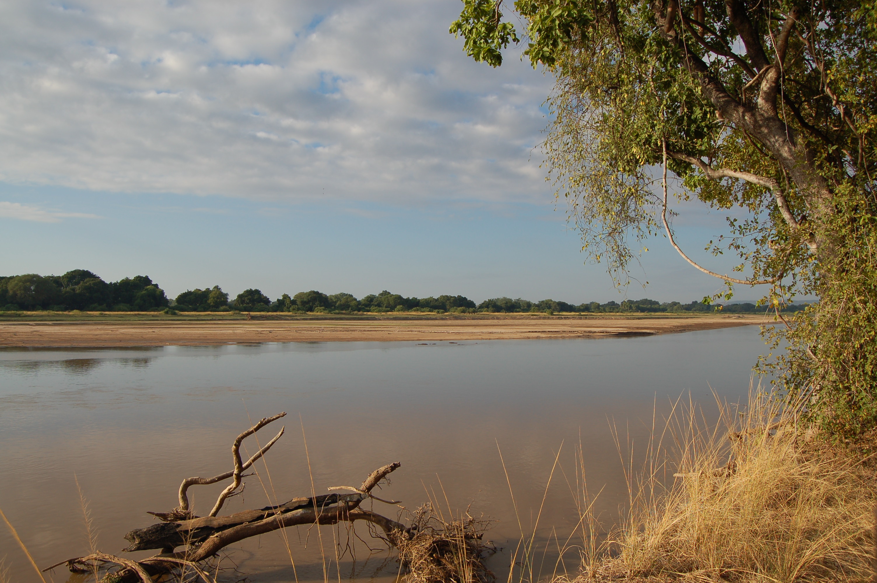 Luangwa river media library integration and application network