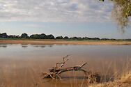 The Luangwa River looking south at South Luangwa National Park, Zambia.