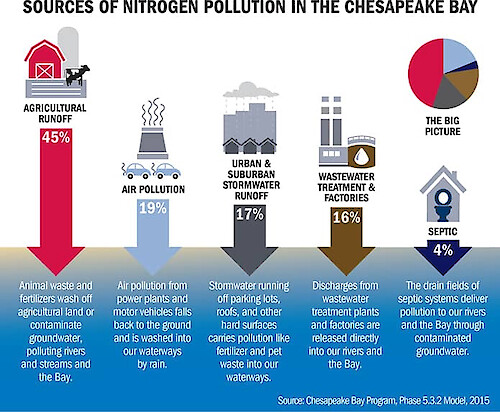 Graphic depicting the major sources of nitrogen pollution in the Chesapeake Bay, based on the Chesapeake Bay Program's Phase 5.3.2 Model from 2015. The diagram categorizes various contributors such as agriculture, air deposition, urban runoff, and wastewater, showing their relative impact on nitrogen levels in the bay.