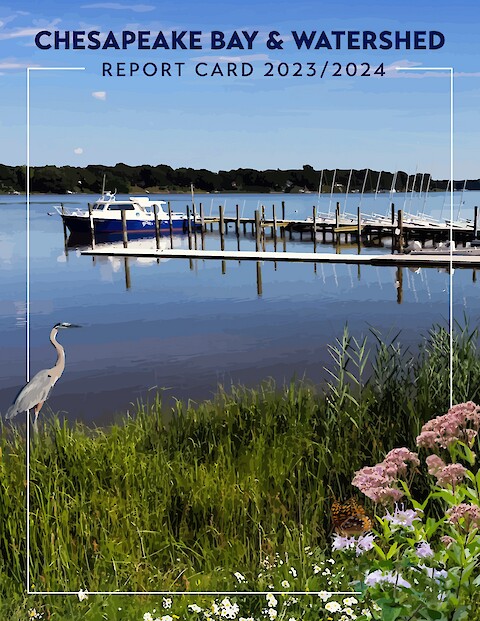 2023/2024 Chesapeake Bay & Watershed Report Card (Page 1)