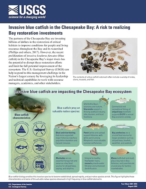 Invasive blue catfish in the Chesapeake Bay: A risk to realizing Bay restoration investments (Page 1)