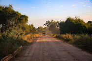 Safari vehicle on a dirt road in South Luangwa National Park, Zambia.