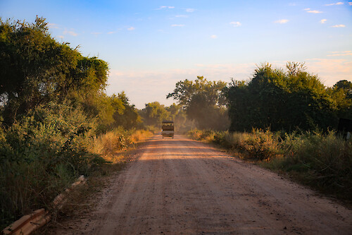 Safari vehicle on a dirt road in South Luangwa National Park, Zambia.