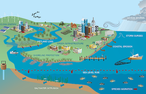 This diagram, from the 2021 Maryland Coastal Adaptation Report Card, shows the changes that threaten coastal communities (white font) alongside adaptation actions (blue font) that can alleviate the impacts of those changes.