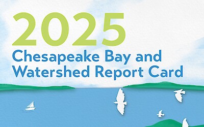 2025 Chesapeake Bay & Watershed Report Card (Page 1)