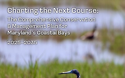 Charting the Next Course: The Comprehensive Conservation & Management Plan for Maryland's Coastal Bays (2025–2035) (Page 1)