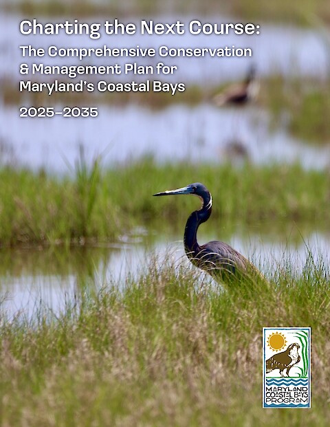 Charting the Next Course: The Comprehensive Conservation & Management Plan for Maryland