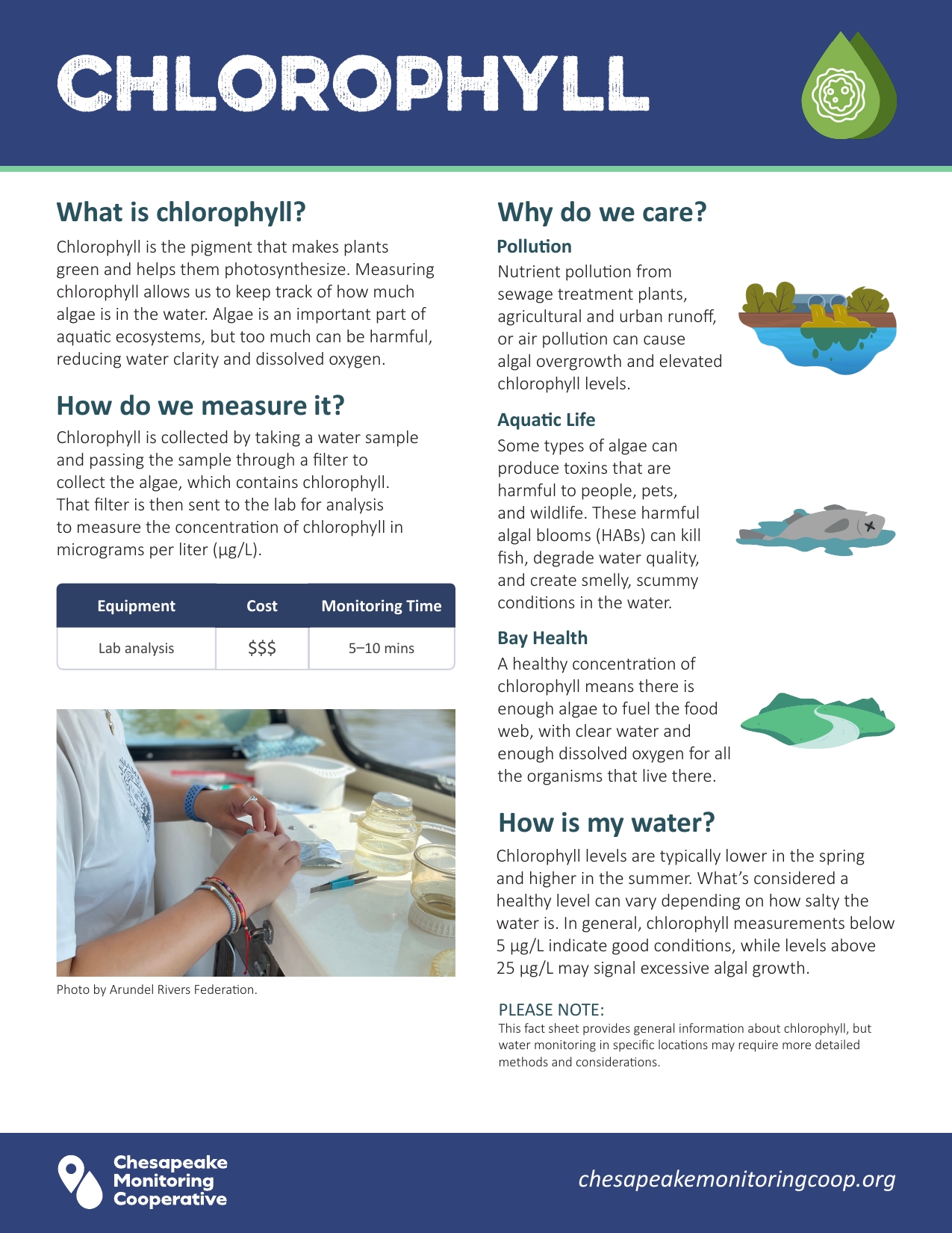 CMC Fact Sheet: Chlorophyll | Publications | Integration and