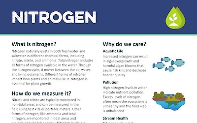 CMC Fact Sheet: Nitrogen (Page 1)
