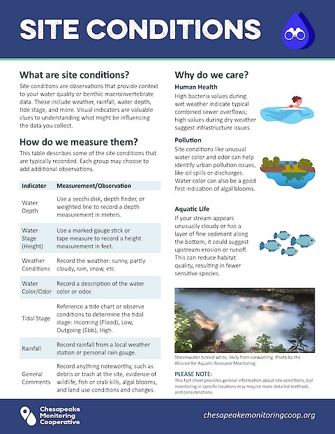 CMC Fact Sheet: Site Conditions (Page 1)
