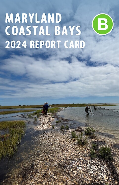 2024 Maryland Coastal Bays Report Card (Page 1)