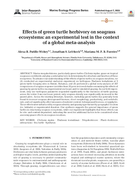 Effects of green turtle herbivory on seagrass ecosystems: an experimental test in the context of a global meta-analysis (Page 1)