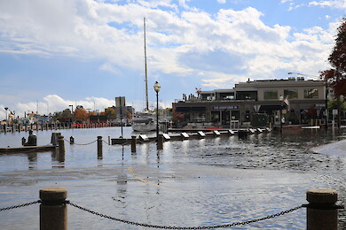 Building Trust in Science