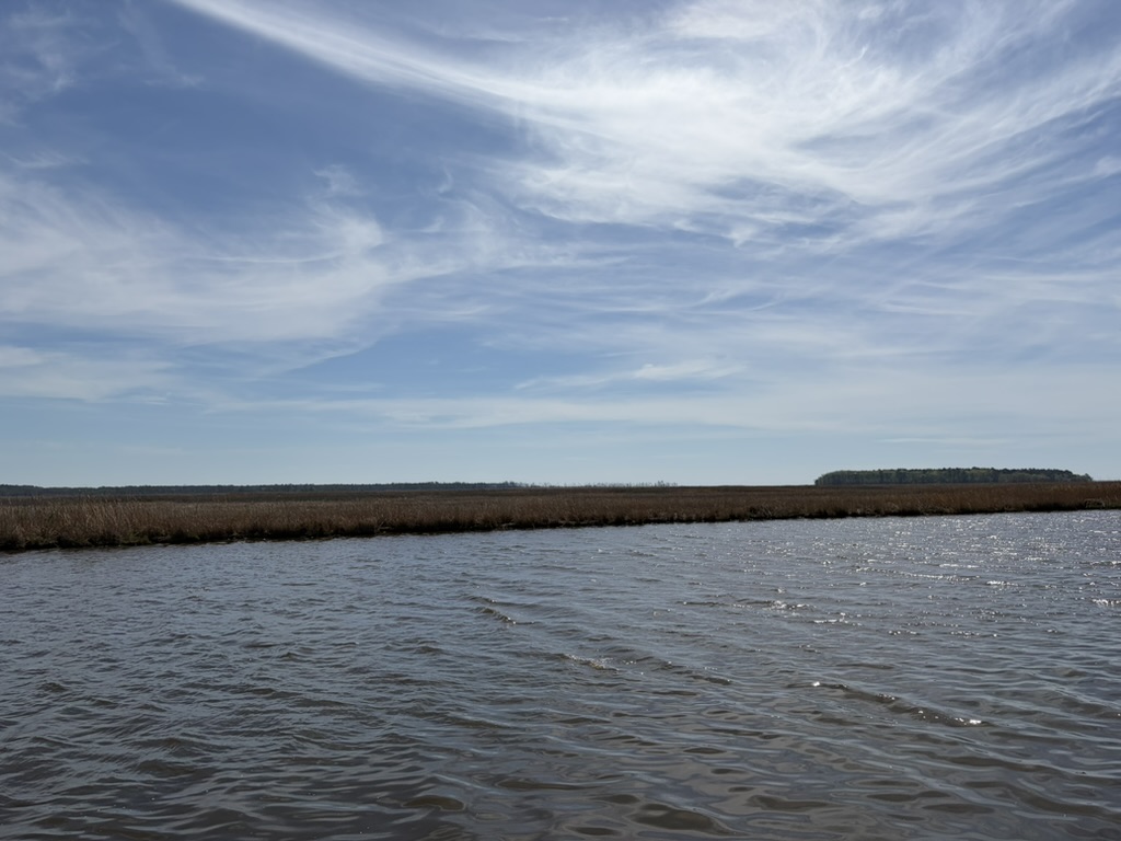 Landscape view of the wildlife refuge beyond some water.