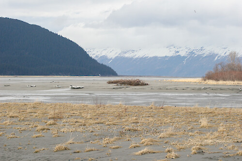 The mudflats of Turnagain Arm, Alaska during the low tide.
