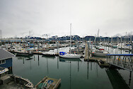 Boar harbor in Seward, Alaska.
