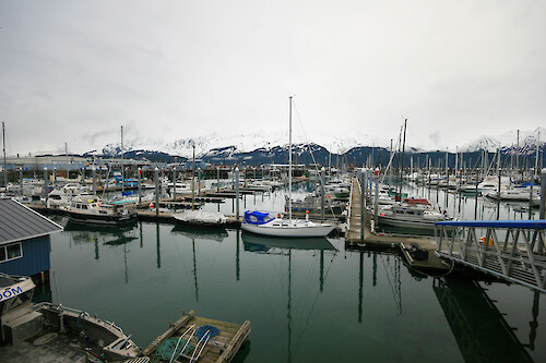 Boar harbor in Seward, Alaska.