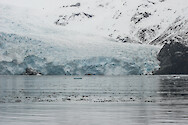 Holgate Glacier in Kenai Fjords National Park, Alaska.