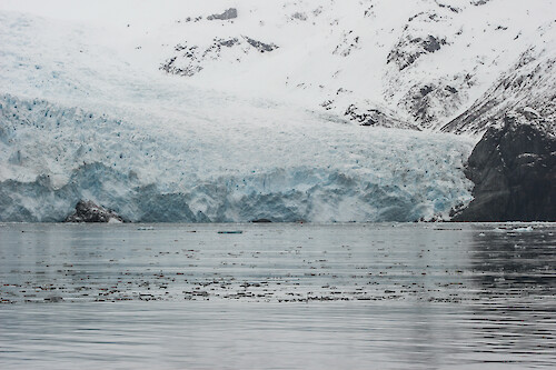 Holgate Glacier in Kenai Fjords National Park, Alaska.