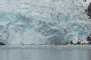 Holgate Glacier in Kenai Fjords National Park, Alaska.